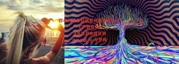 apvp Приозерск