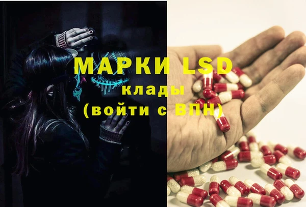 СК Протвино