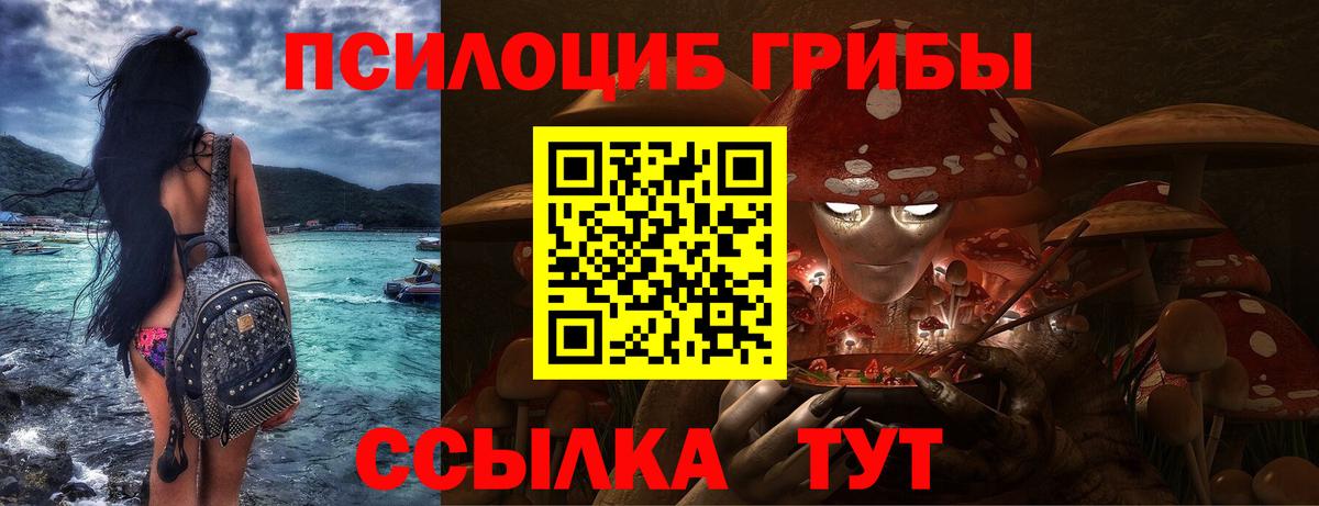 Псилоцибиновые грибы GOLDEN TEACHER Тобольск